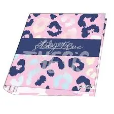 CARPETA ESCOLAR A4 CARTONE MOOVING                          